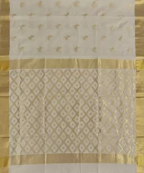 Offwhite golden venkatagiri handloom cotton saree