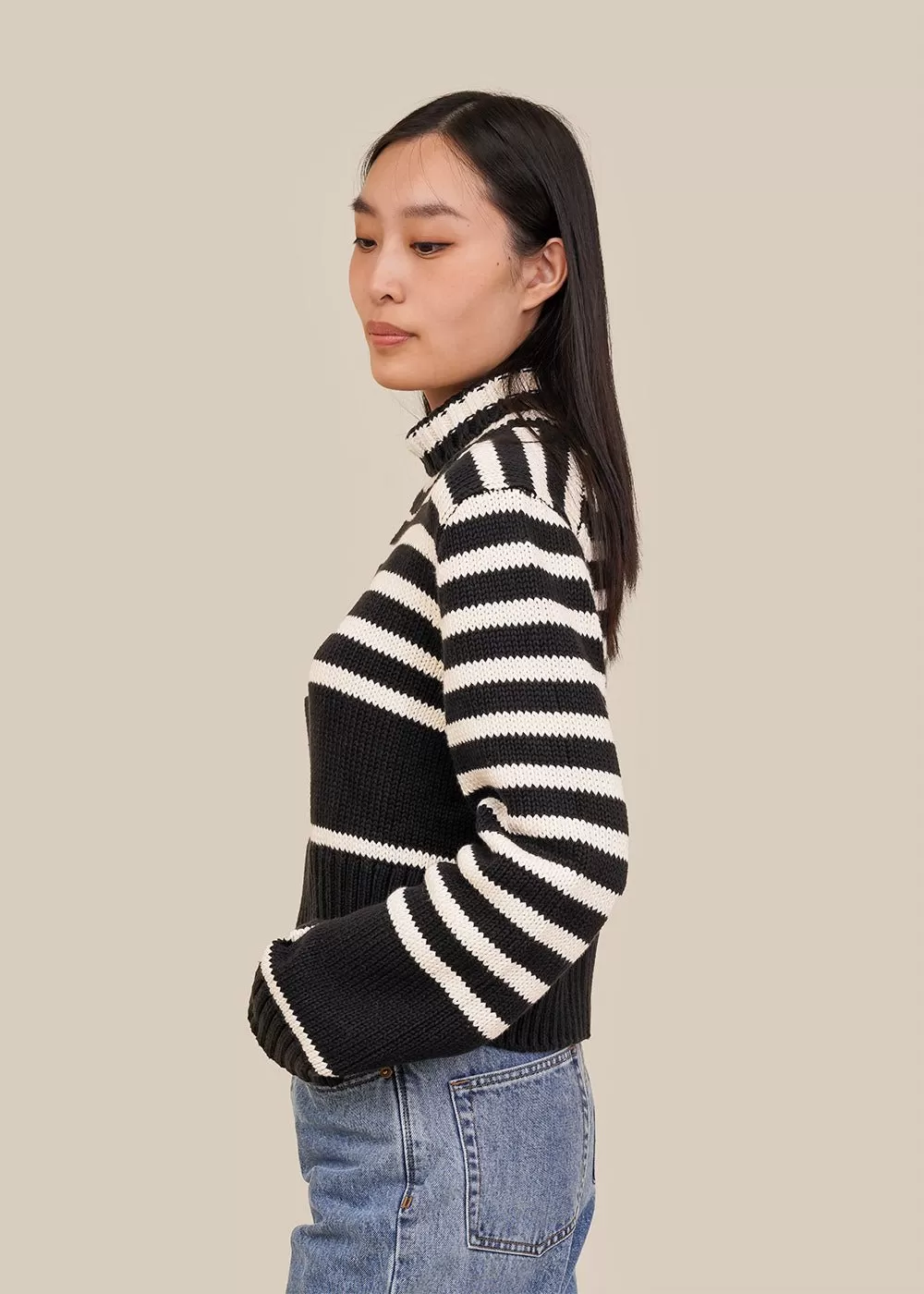 Striped Luigi Turtleneck Sweater