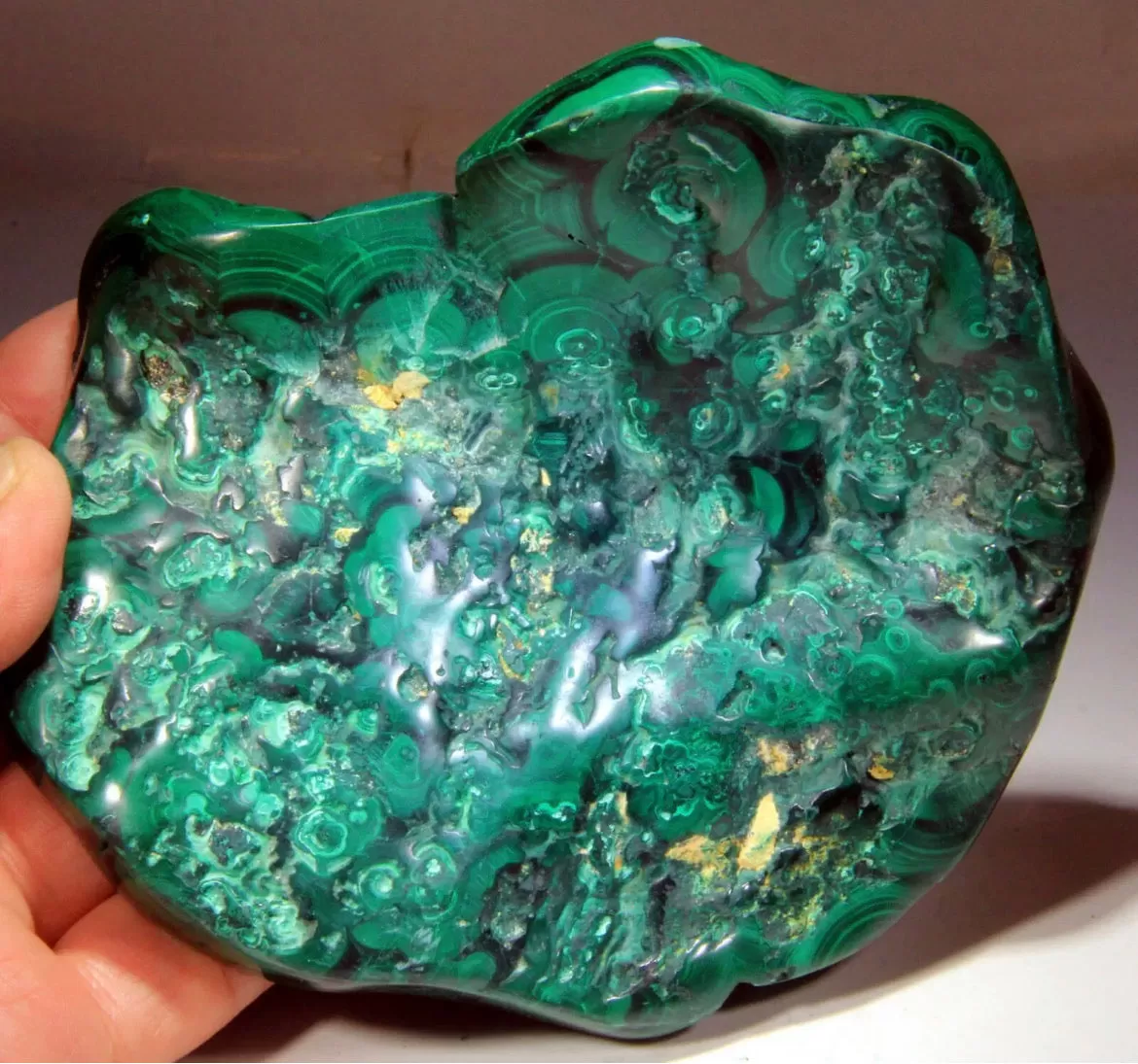 Top Quality Polished natural Bull’s Eye Malachite, from Congo!